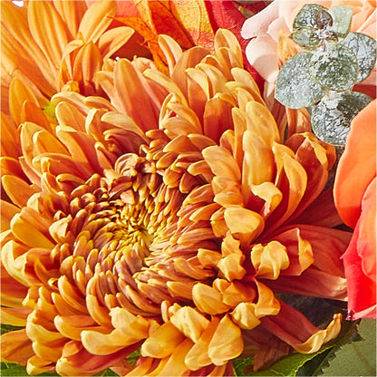 Scenic Route Bouquet – PETERSEN & TIETZ FLORISTS & GREENHOUSES, Waterloo IA