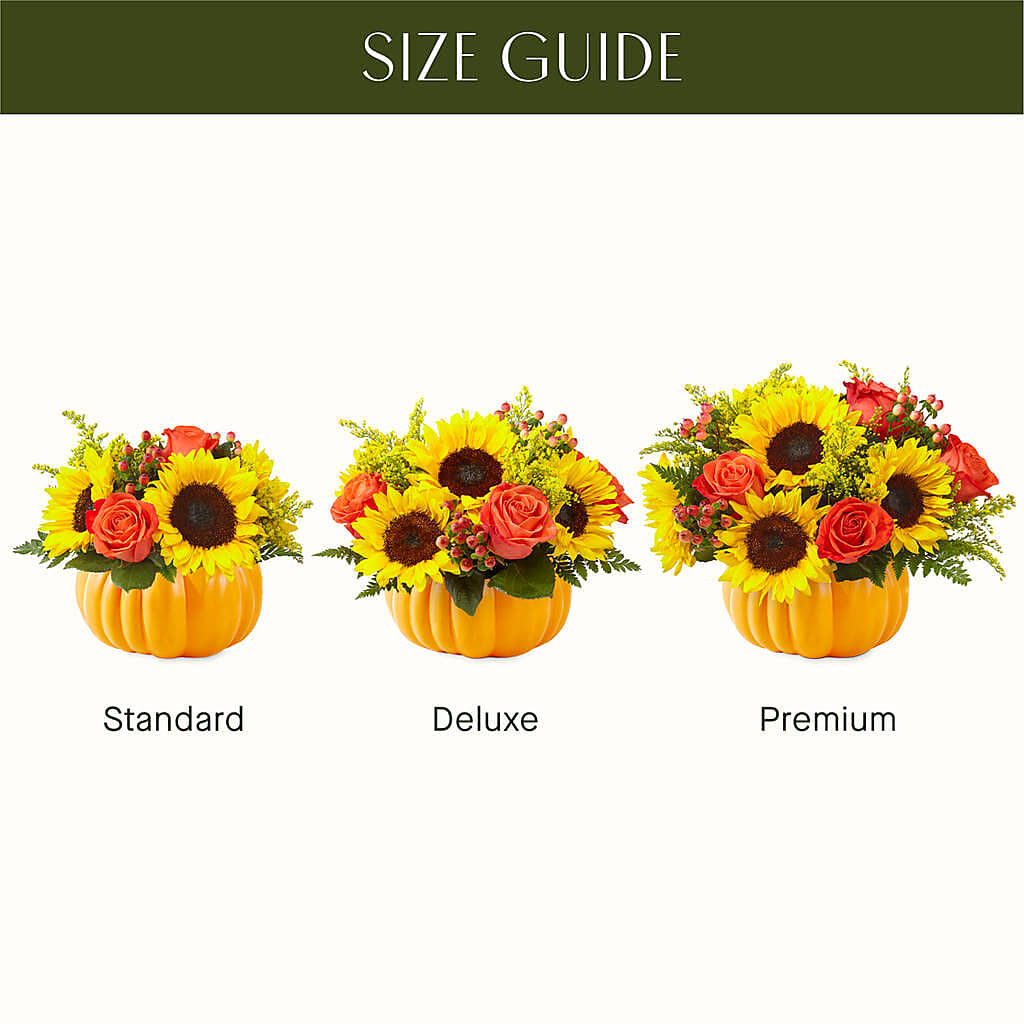 Pick of the Patch Pumpkin Bouquet – PETERSEN & TIETZ FLORISTS & GREENHOUSES, Waterloo IA