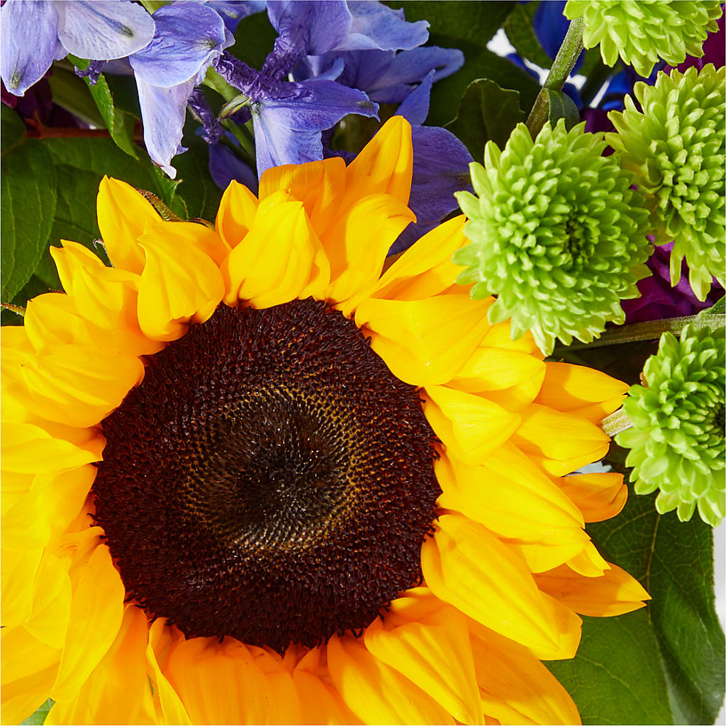 Catching Rays Bouquet – PETERSEN & TIETZ FLORISTS & GREENHOUSES, Waterloo IA