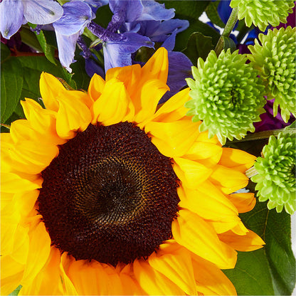 Catching Rays Bouquet – PETERSEN & TIETZ FLORISTS & GREENHOUSES, Waterloo IA