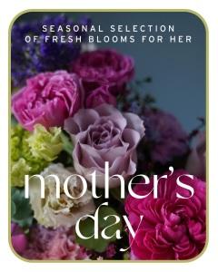 Mother's Day Designer's Choice