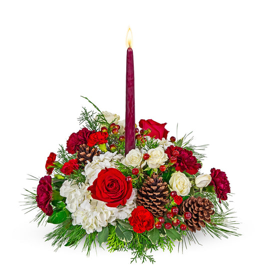 Glowing Everwood – PETERSEN & TIETZ FLORISTS & GREENHOUSES, Waterloo IA