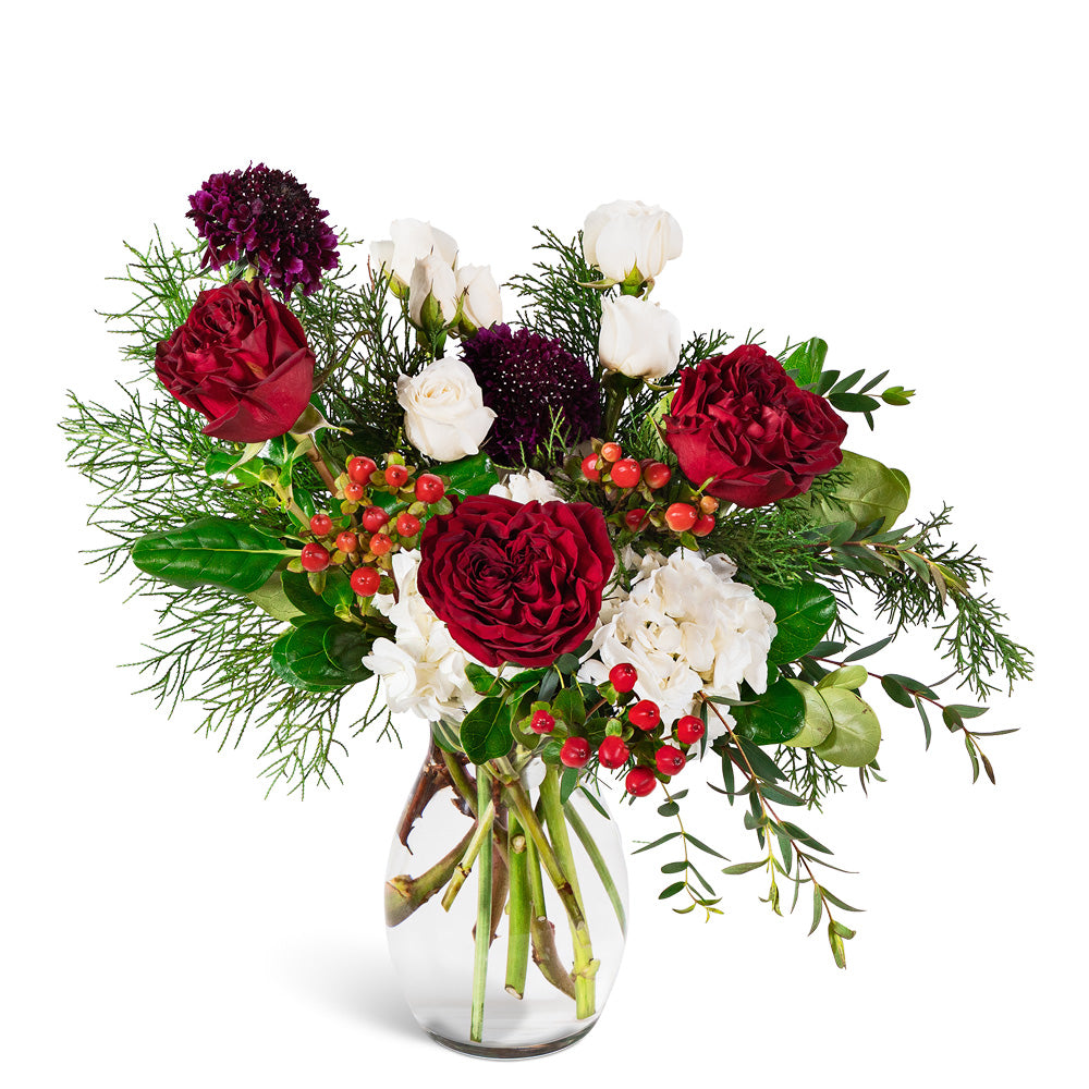 Crimson Frost – PETERSEN & TIETZ FLORISTS & GREENHOUSES, Waterloo IA