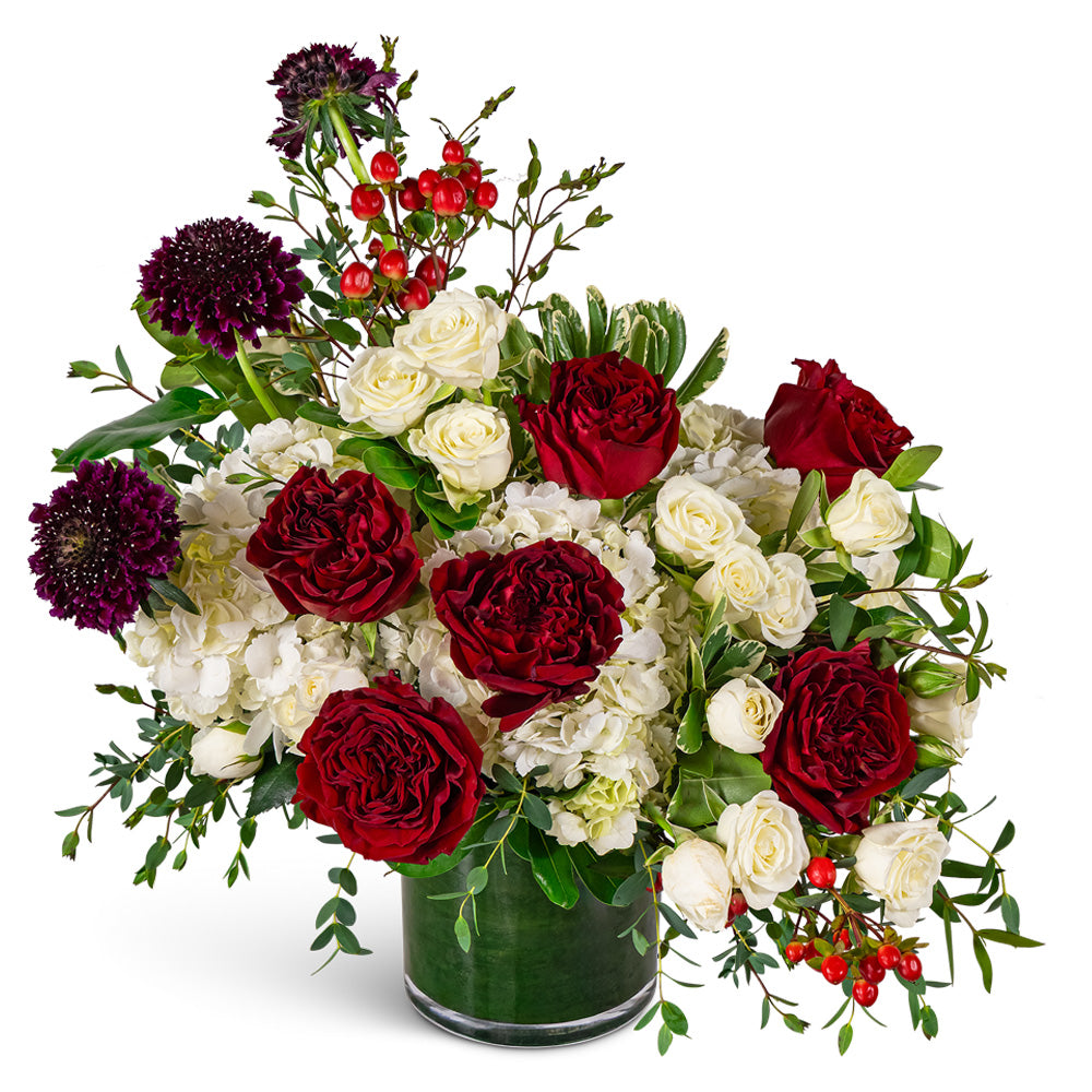Wild Ruby Beauty – PETERSEN & TIETZ FLORISTS & GREENHOUSES, Waterloo IA