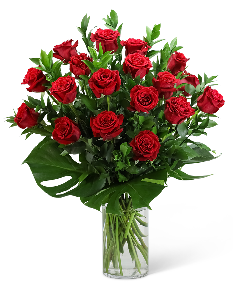 Red Roses with Modern Foliage