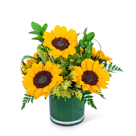 Sunshine Sunflowers