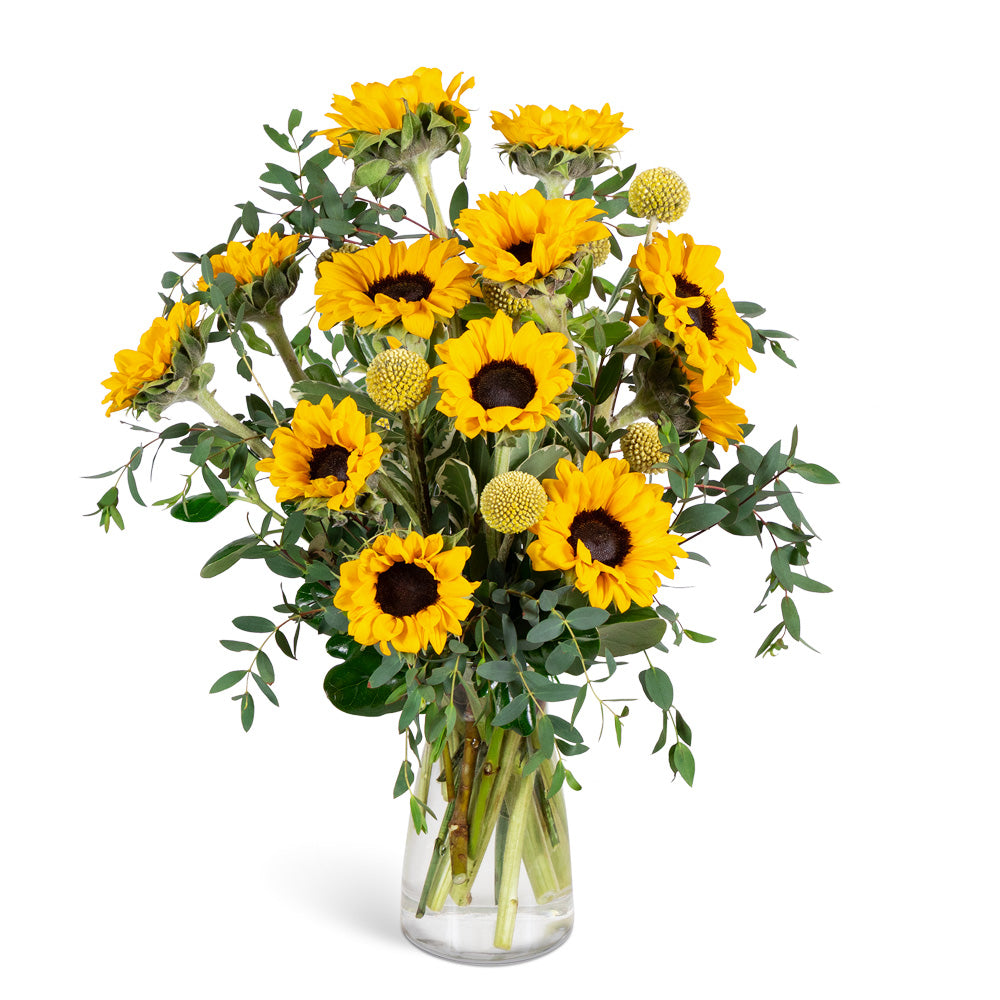 Wildflower Sunshine – PETERSEN & TIETZ FLORISTS & GREENHOUSES, Waterloo IA