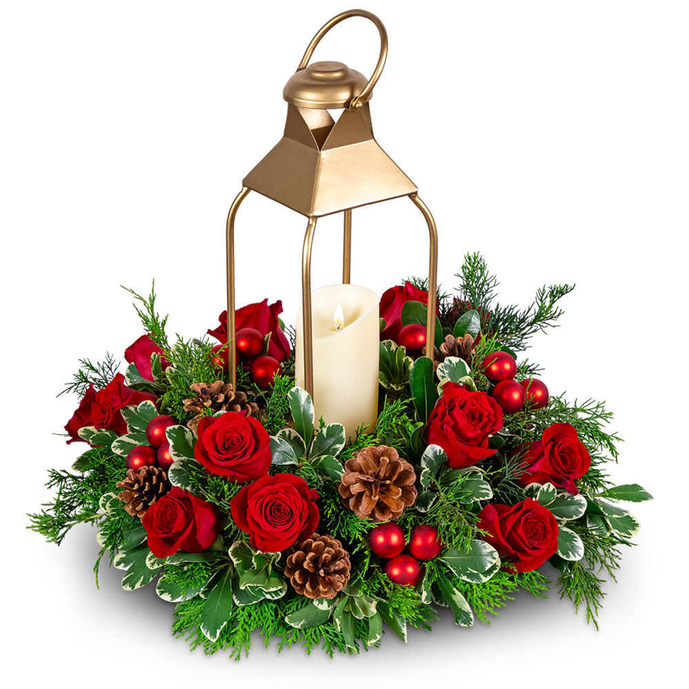 Evermore Pine Lantern – PETERSEN & TIETZ FLORISTS & GREENHOUSES, Waterloo IA