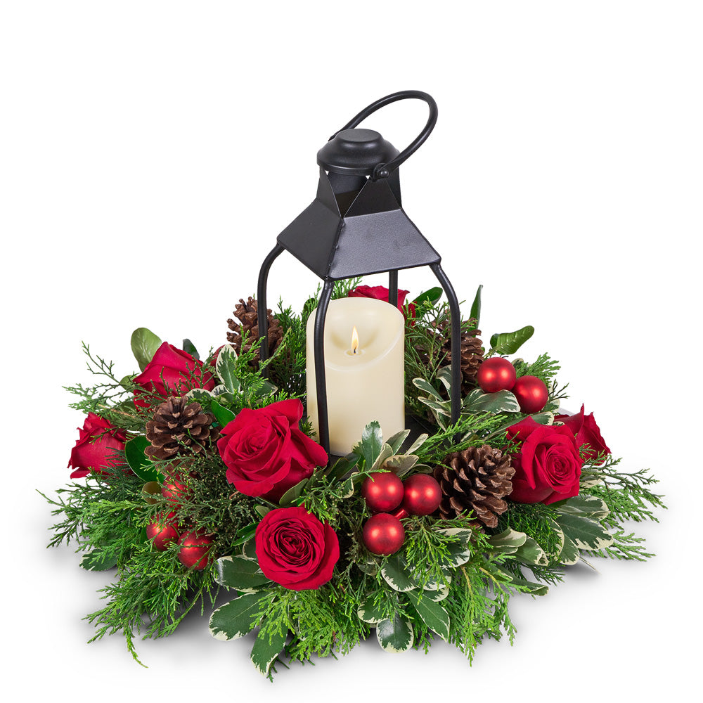 Crimson and Pine Lantern – PETERSEN & TIETZ FLORISTS & GREENHOUSES, Waterloo IA