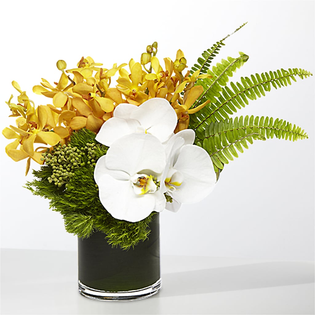 The Tropics – PETERSEN & TIETZ FLORISTS & GREENHOUSES, Waterloo IA