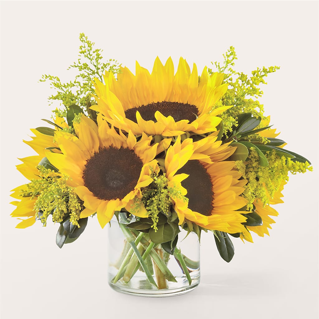 Beaming Sunflower Bouquet – PETERSEN & TIETZ FLORISTS & GREENHOUSES, Waterloo IA