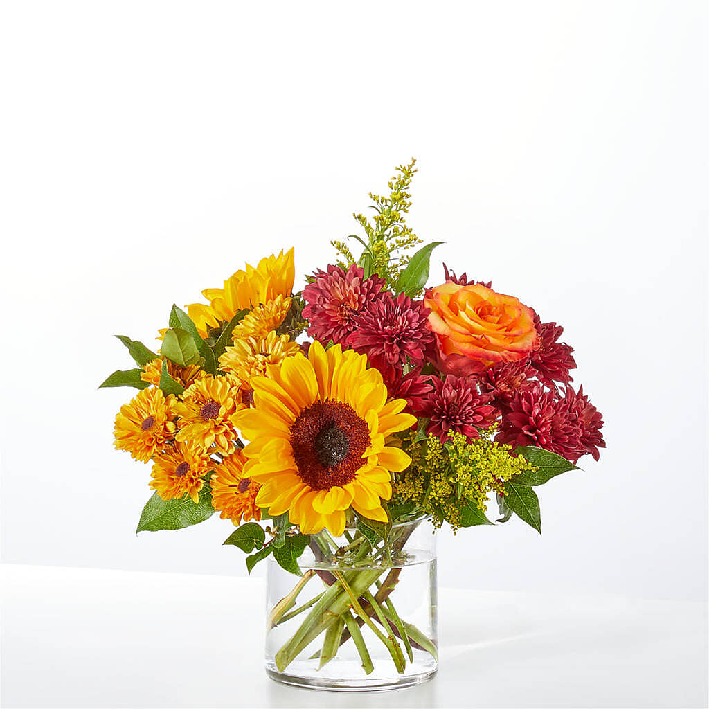 Flannel Scarf Bouquet – PETERSEN & TIETZ FLORISTS & GREENHOUSES, Waterloo IA