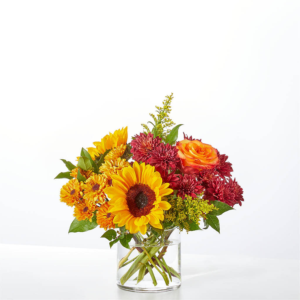 Flannel Scarf Bouquet – PETERSEN & TIETZ FLORISTS & GREENHOUSES, Waterloo IA