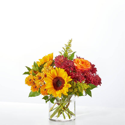 Flannel Scarf Bouquet – PETERSEN & TIETZ FLORISTS & GREENHOUSES, Waterloo IA
