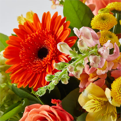 Autumn Sunshine Bouquet – PETERSEN & TIETZ FLORISTS & GREENHOUSES, Waterloo IA