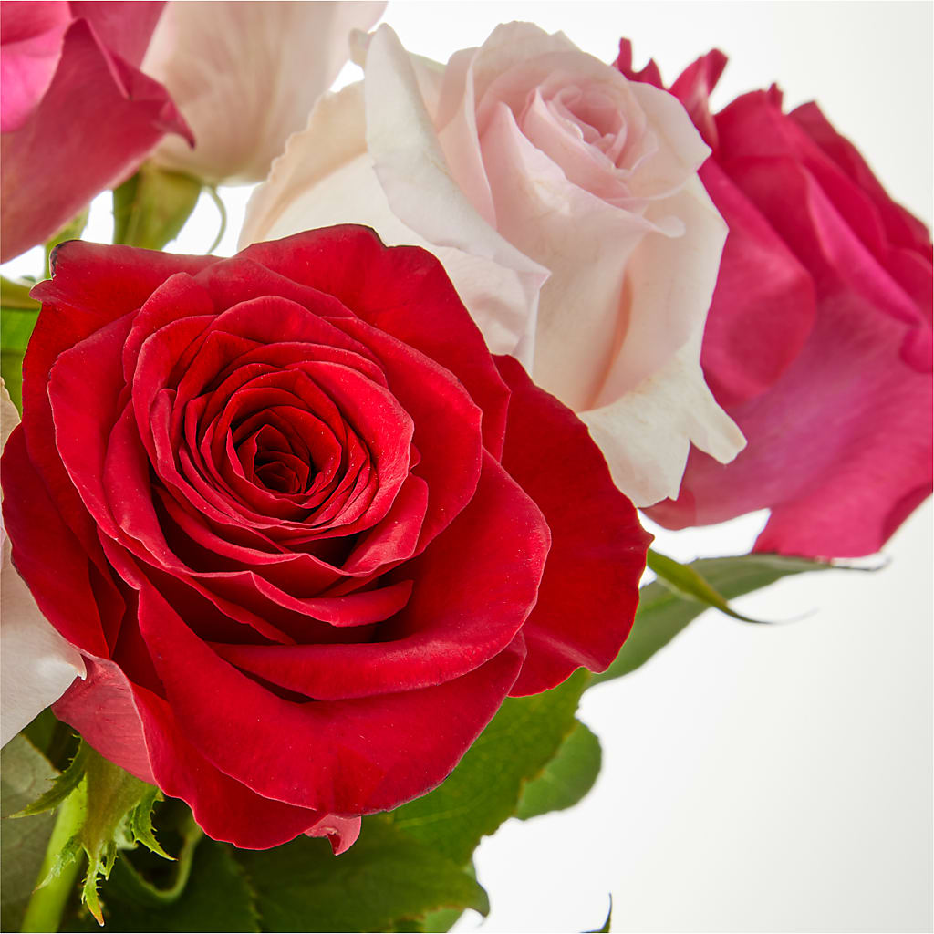 Charming Rose Bouquet – PETERSEN & TIETZ FLORISTS & GREENHOUSES, Waterloo IA