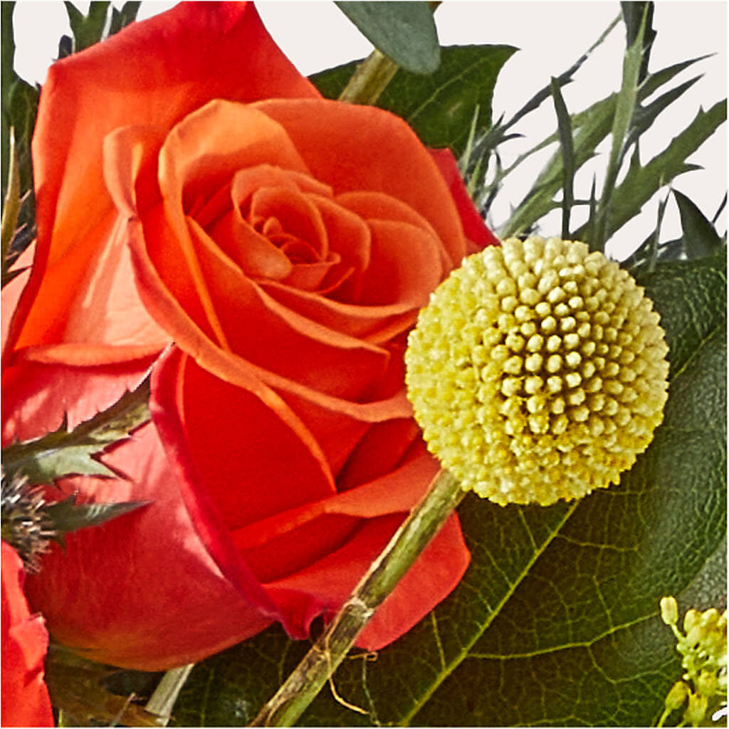 Disco Bouquet – PETERSEN & TIETZ FLORISTS & GREENHOUSES, Waterloo IA