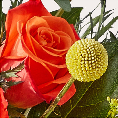 Disco Bouquet – PETERSEN & TIETZ FLORISTS & GREENHOUSES, Waterloo IA