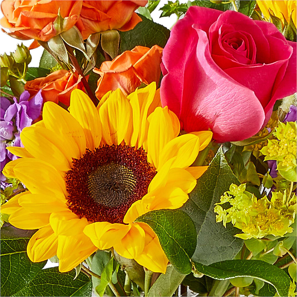Vibrant Greetings Bouquet – PETERSEN & TIETZ FLORISTS & GREENHOUSES, Waterloo IA