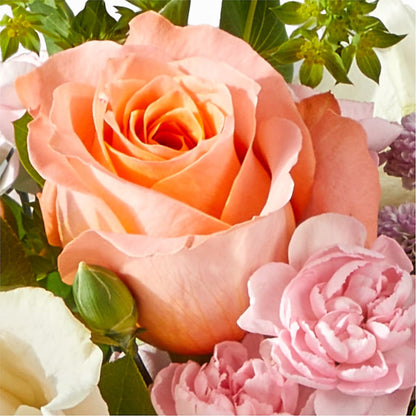 French Market Bouquet – PETERSEN & TIETZ FLORISTS & GREENHOUSES, Waterloo IA