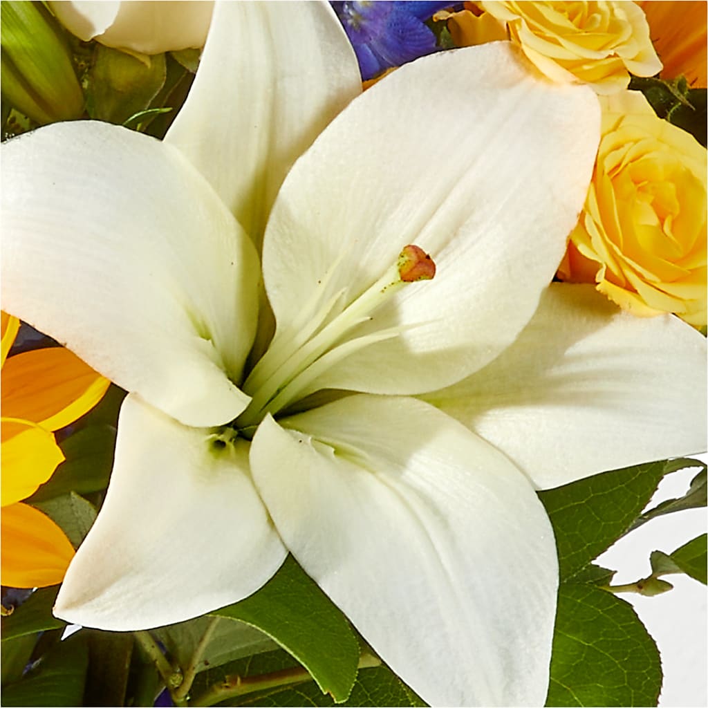 Wonderfully Sunny Bouquet – PETERSEN & TIETZ FLORISTS & GREENHOUSES, Waterloo IA