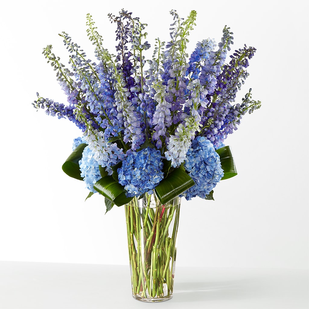 The Editorial – PETERSEN & TIETZ FLORISTS & GREENHOUSES, Waterloo IA