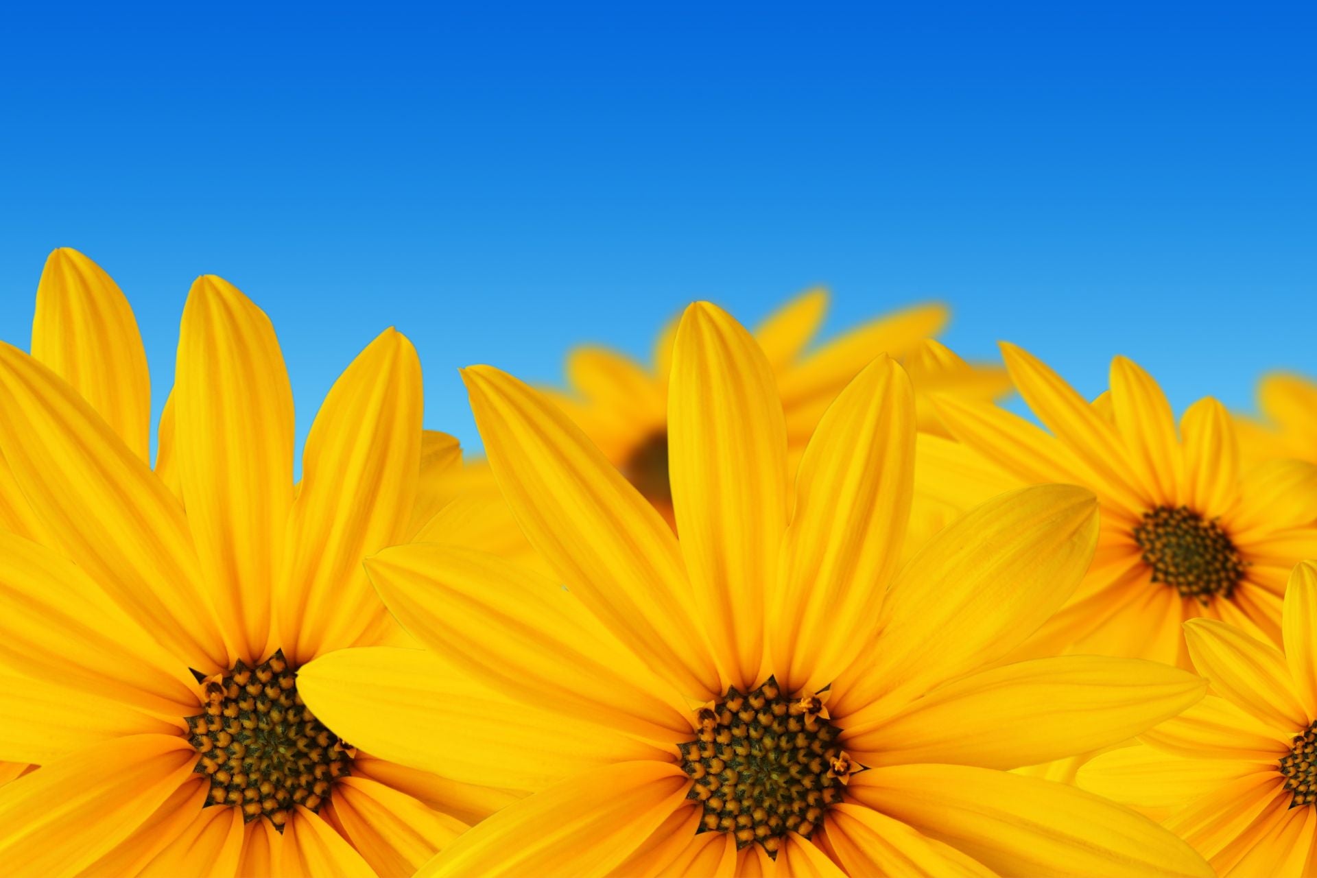 homepageBannerMetadata_Image_1780495895246.jpeg