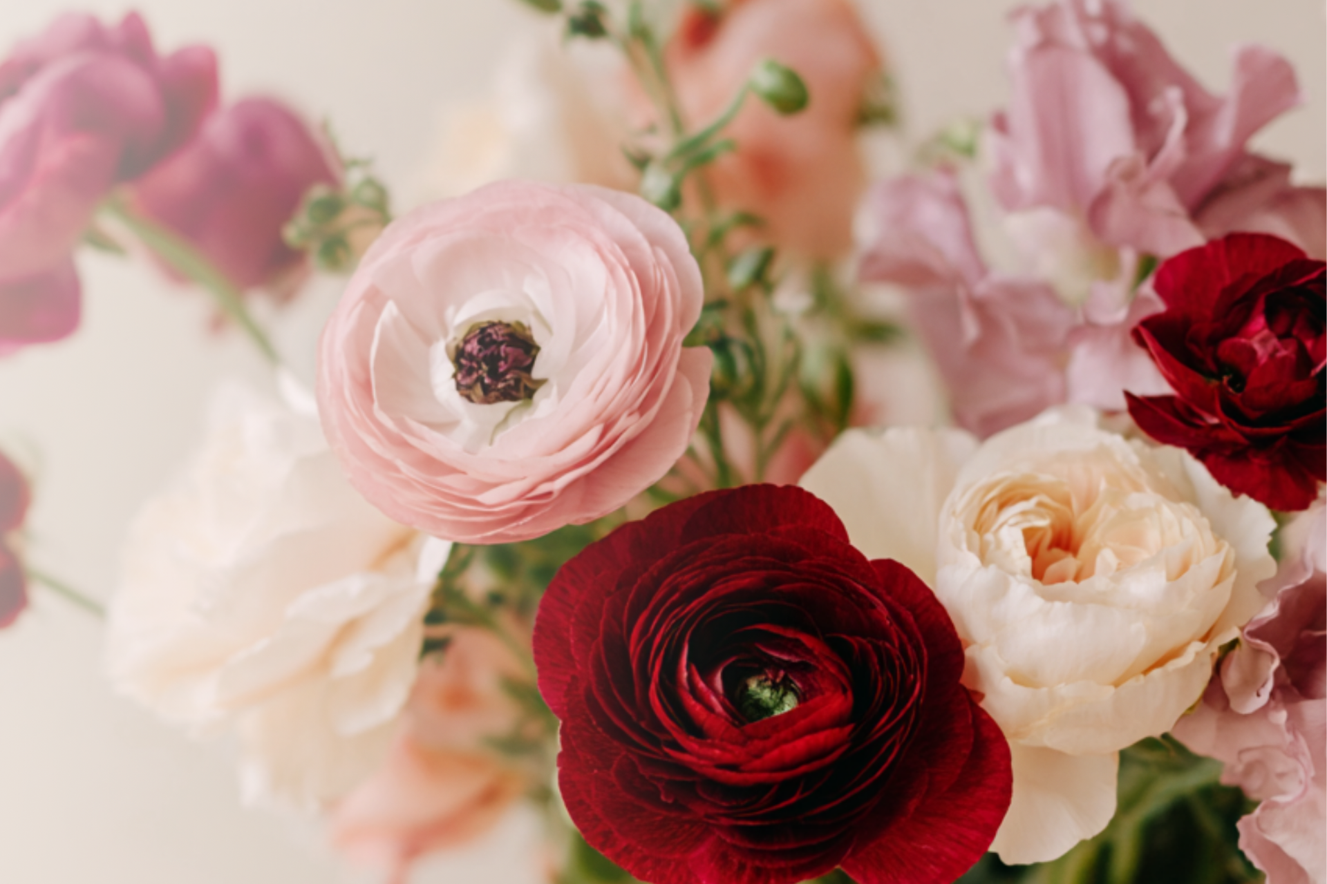 homepageBannerMetadata_Image_1787001617341.png